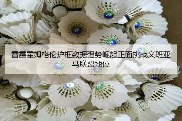 雷霆霍姆格伦护框数据强势崛起正面挑战文班亚马联盟地位