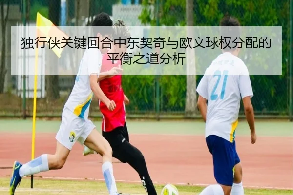 独行侠关键回合中东契奇与欧文球权分配的平衡之道分析